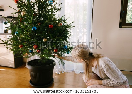 Similar – Image, Stock Photo Christmas tree in pot, watercolour on paper