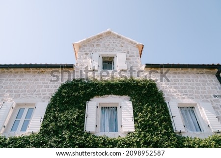 Similar – Image, Stock Photo Ivy growing up on a building