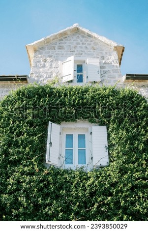 Similar – Foto Bild Ein mit Pflanzen bewachsenes Haus