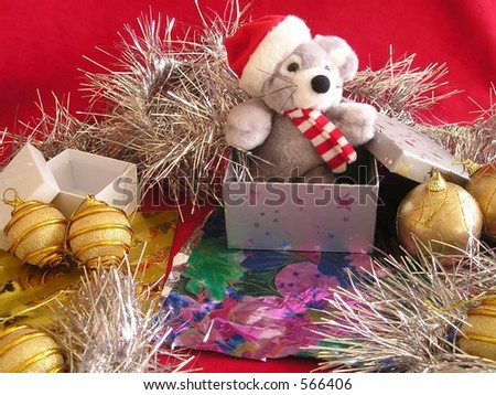 bear in gift box