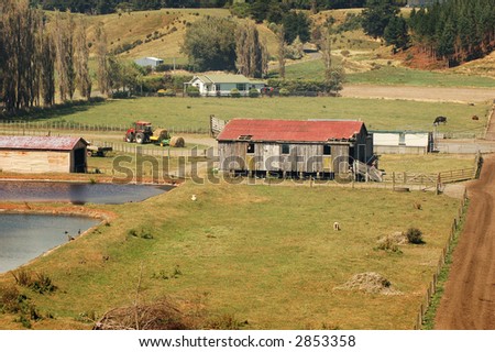small farm New Zealand