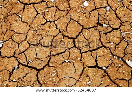 Abstract natural texture cracked earth. Good natural background