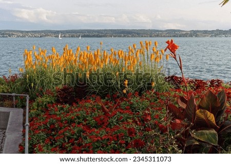 Similar – Image, Stock Photo Überlingen