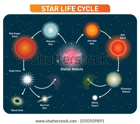 Star life cycle steps from stellar nebula to red giant to black hole. Vector illustration diagram poster. 