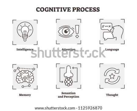 Vector illustration of cognitive process. Explained types with scheme of intelligence, attention, language, memory, thought, sensation and perception types. Psychology basics in black white diagram.