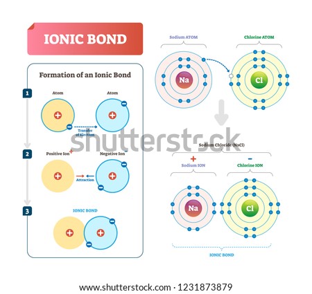 Ionic bond vector illustration. Labeled diagram with formation explanation. Type of chemical bonding that involves electrostatic attraction between oppositely charged particles and atom interaction.