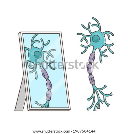 Mirror neuron funny performance with itself reflection view outline concept. Imitative behavior and empathy explanation from neuroscience aspect with cartoon style nerve drawing vector illustration.