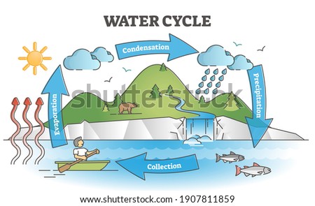 Water cycle diagram with simple rain circulation explanation outline concept. Educational biology climate scheme with precipitation, evaporation, condensation and collection phases vector illustration