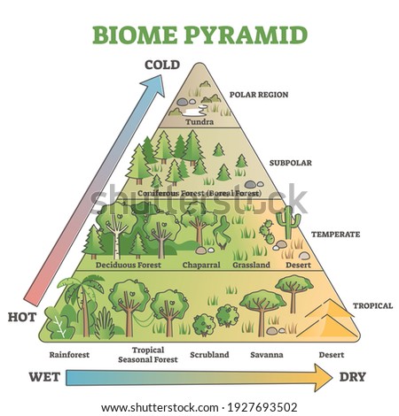 Biome pyramid as ecological weather or climate classification outline diagram. Educational labeled scheme with temperature and moisture axis that effects polar, subpolar, temperate and tropical region