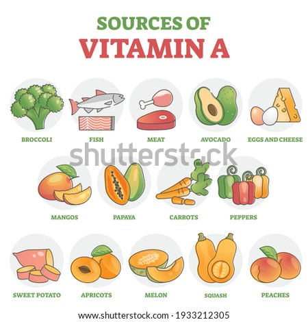 Sources of vitamin A as healthy nutrition food examples in outline diagram. Labeled educational fruit and vegetable collection set that is rich in vital immune system benefits vector illustration.