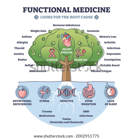 Functional medicine as disease treatment with looks for root cause outline diagram. Tree with cancer, heart disease and diabetes health problem identification and focused help vector illustration.