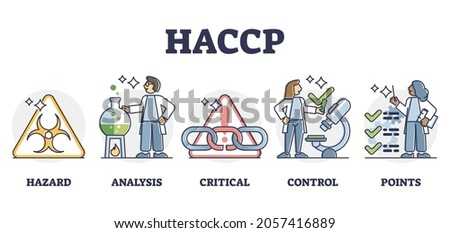 HACCP food safety preventive analysis and control system, outline diagram. Bacteria hazard monitoring and critical hygiene requirement points for safe food production process and preparation. Foto stock © 
