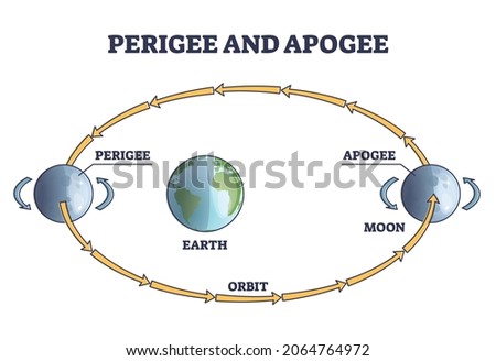 Perigee and apogee moon cycle and orbit around earth outline diagram. Labeled educational astronomy process with elliptical planet movement in space vector illustration. Lunar rotation in cosmos.