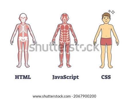 HTML, JavaScript or CSS programming compared to human anatomy outline concept. Labeled coding language layers and visualization with skeletal and muscle structure for new web page vector illustration.