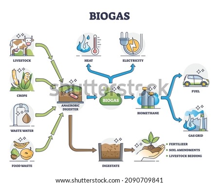 Biogas or bio gas division for energy consumption and sources outline diagram. Labeled educational natural renewable resource for eco gas grid and fuel or heat and electricity vector illustration. Stockfoto © 