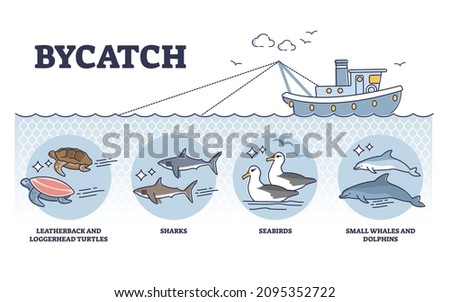 Bycatch problem with unwanted animal capture in fishing process outline diagram. Labeled educational wild species type example that suffer from unintentionally animals caught vector illustration.