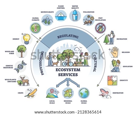 Provisioning, regulating and cultural services division outline diagram. Labeled educational ecosystem services subdivision explanation with structured categories and examples vector illustration. 商業照片 © 