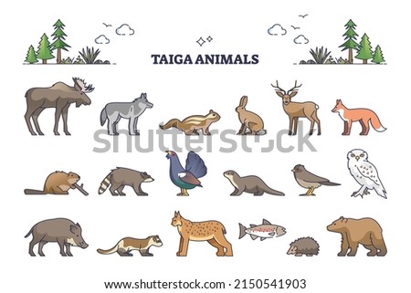 Taiga animals collection with natural habitat creatures type outline set. Isolated wildlife elements group with environment and climate typical living birds, mammals and fishes vector illustration.