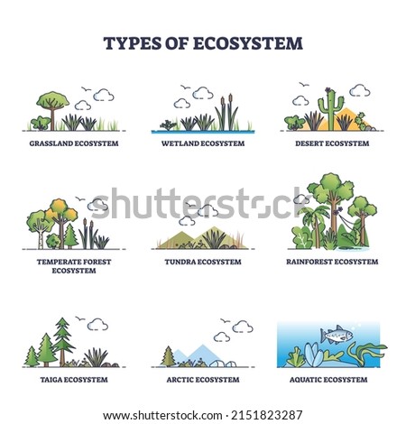 Types of ecosystem with various climate habitats outline collection set. Labeled educational scheme with environment division and scenery differences vector illustration. Flora and fauna categories.