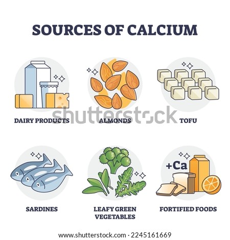 Sources of calcium and natural rich Ca level food products outline diagram. Labeled educational list with ingredients for healthy eating vector illustration. Dairy, tofu and greens for strong bones.