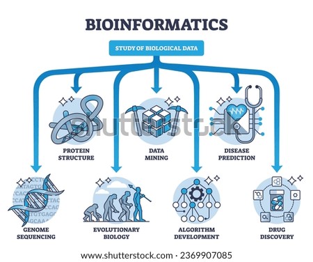 Bioinformatics as study and research of biological data outline diagram. Labeled educational scheme with protein structure, sequencing, data mining and disease prediction division vector illustration