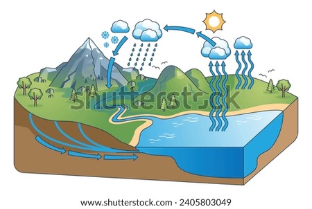 Water cycle diagram with precipitation and condensation outline concept. Educational scheme with nature process explanation and climate ecosystem vector illustration. Study hydro balance on earth.