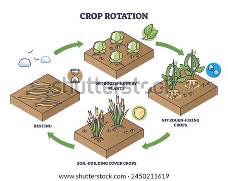 Crop rotation as sustainable soil fertility and resting cycle outline diagram. Labeled educational scheme with nitrogen hungry or fixing plants for ecological soil sequencing vector illustration.