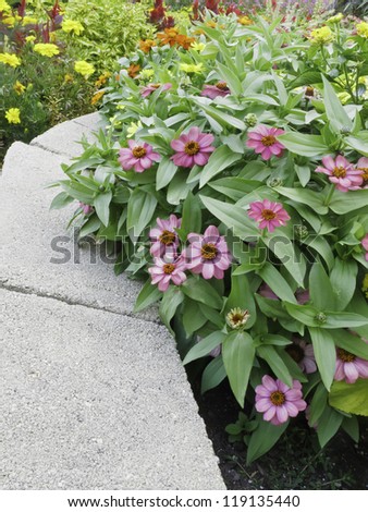 Ledge of concrete blocks curving through flowerbeds in summer garden