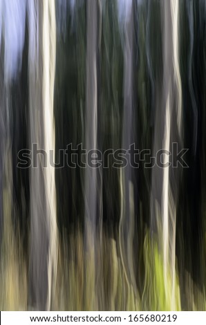 Abstract of forest trees in sunlight and shade, autumn in northern Illinois: Painterly in-camera motion blur of tree trunks and undergrowth in a suburban forest preserve