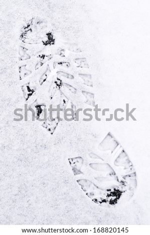 Winter at a glance: Footprint in light snow on path