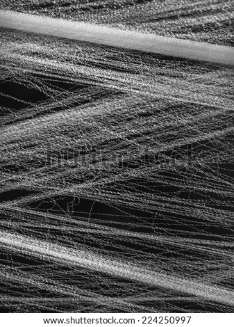 Closeup of sheer synthetic webbing used to create the illusion of a massive cobweb in a Halloween haunted forest, in black and white (shallow depth of field)