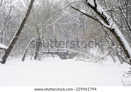 Wintry woods whiteout: Footbridge over stream covered with snow during a winter storm in northern Illinois, USA