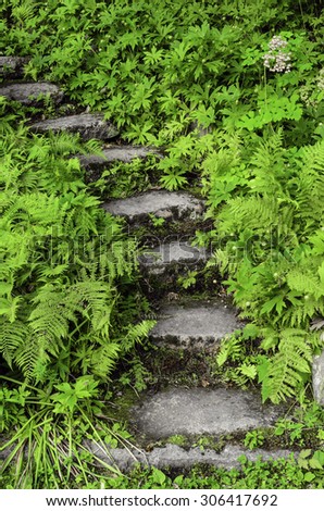 Mossy steps curving out of sight in garden greenery, summer morning in eastern Maine