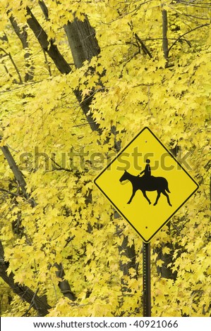 Yellow horse crossing sign by maple trees with yellow leaves in autumn