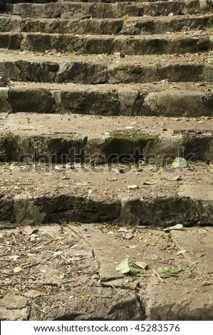 Stone steps with droppings from tropical plants in Hawaiian nature park