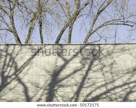 Tree shadows on shingled roof of house by budding trees in spring