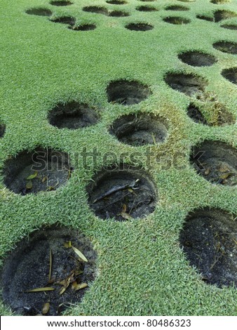 Golf for beginners, or a groundskeeper\'s prank: Many holes cut near one another into practice green -- how could you miss?