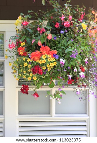 Flowers in hanging basket with white window and brown wall.