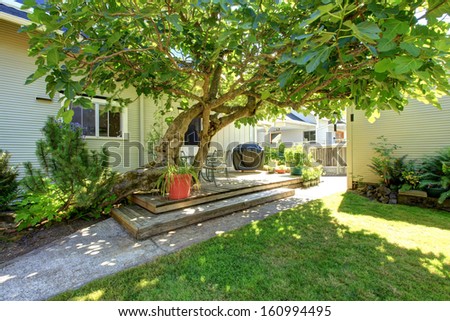 Typical American backyard of the small old craftsman style home in NorthWest of USA.