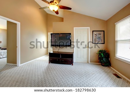 Empty room with vaulted ceiling and carpet floor. Furnished with TV and cabinet. Room decorated with green fake plant in the corner and wall pictures