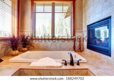 Luxury tile bath tub with fireplace. Decorated with candles and desert like plants