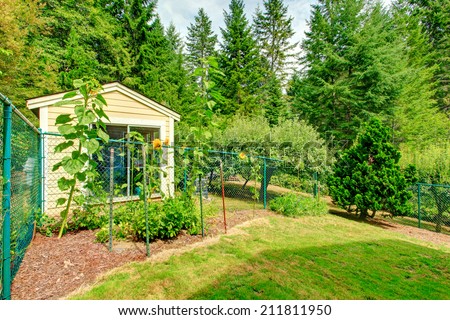 Green counryside backyard with small shed and sunflowers