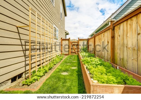Fenced backyard with garden beds, wooden grid attached to the wall