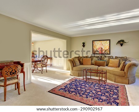 elegant living room with brilliant decor and carpet.
