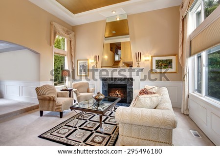 Perfect luxurious living room with elegant decor.