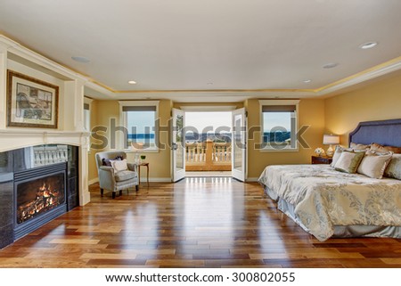 Large elegant master bedroom with silver bedding, hardwood floor, and fireplace.