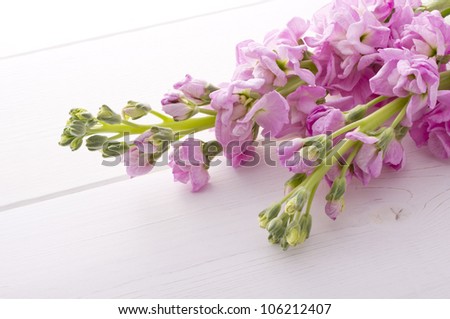 stock flower and ribbon on white floor
