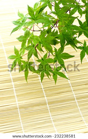 green japanese maple on bamboo