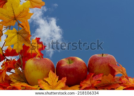 Colorful Fall Border, Three apples on fall leaves with sky background