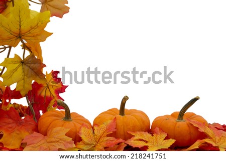 Colorful Fall Border, Three small pumpkins on fall leaves isolated on white